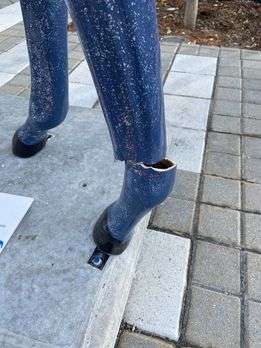 Vandals smash up school kid's Horse Mania sculpture