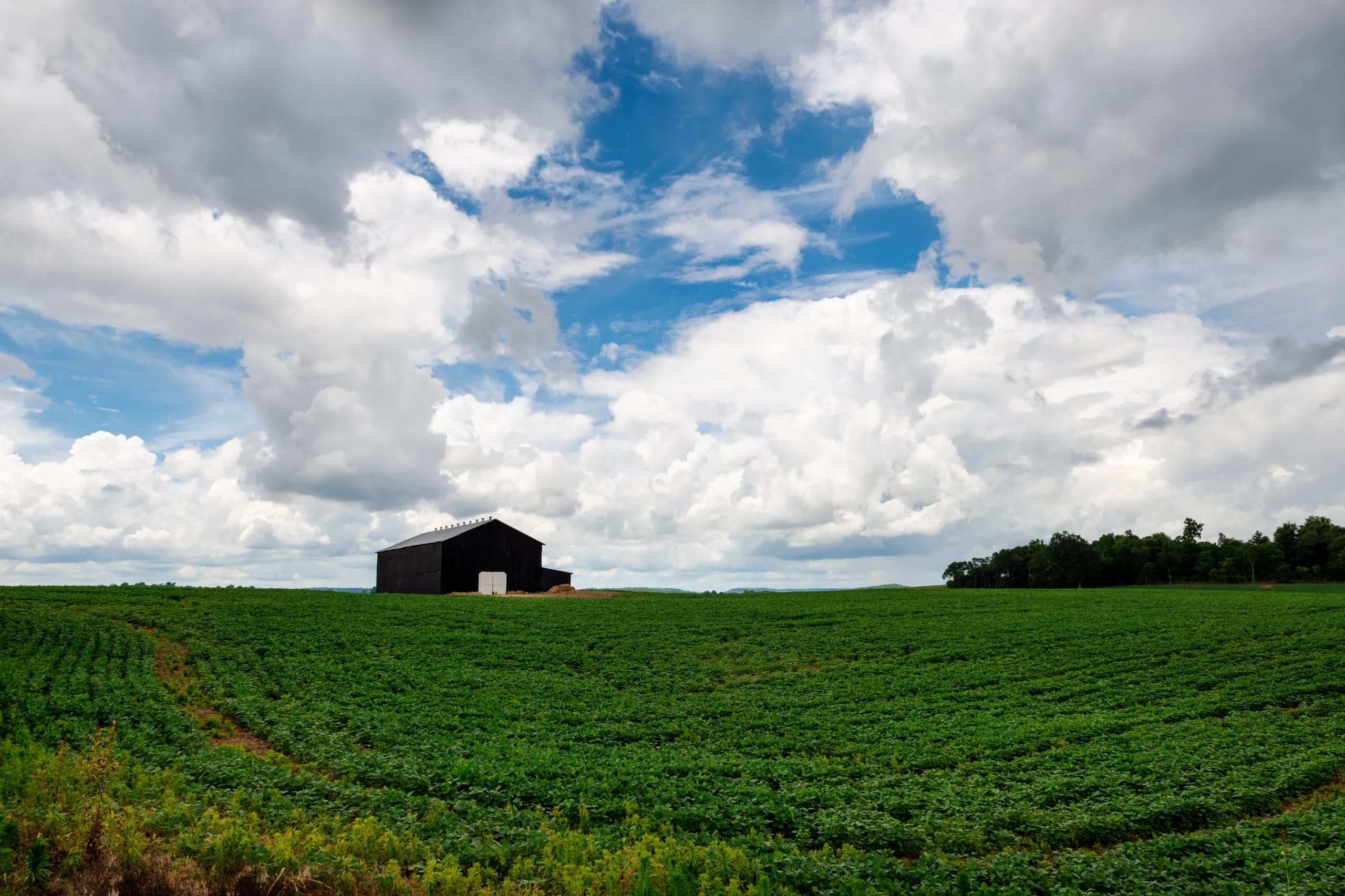 USDA announces $11M in funding for two new rural KY projects