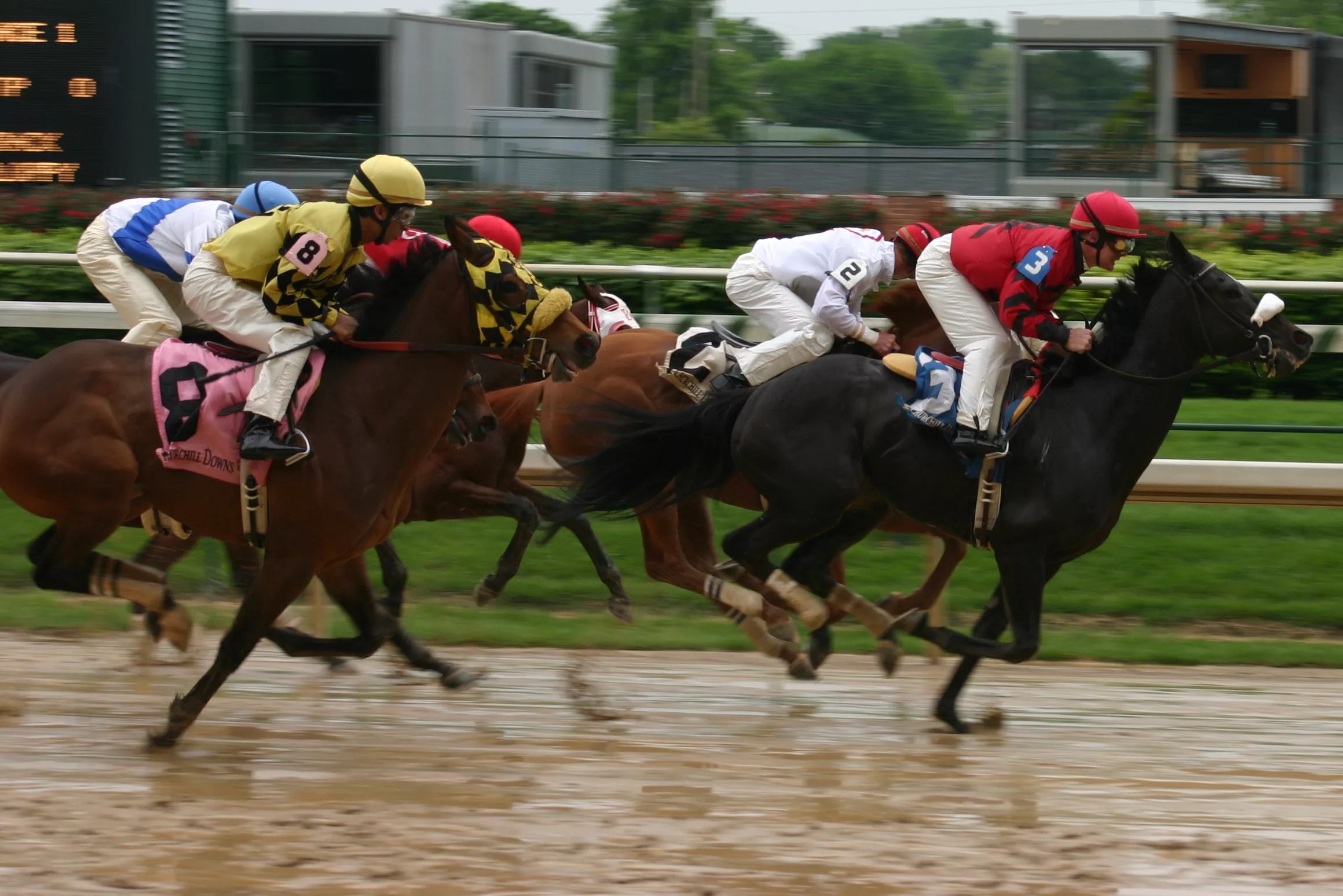 Two more horses euthanized at Churchill Downs following races