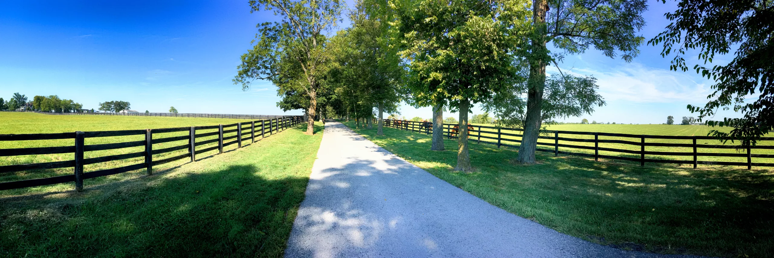 Lexington Council Approves Urban Boundary Expansion Amidst Intense Debate