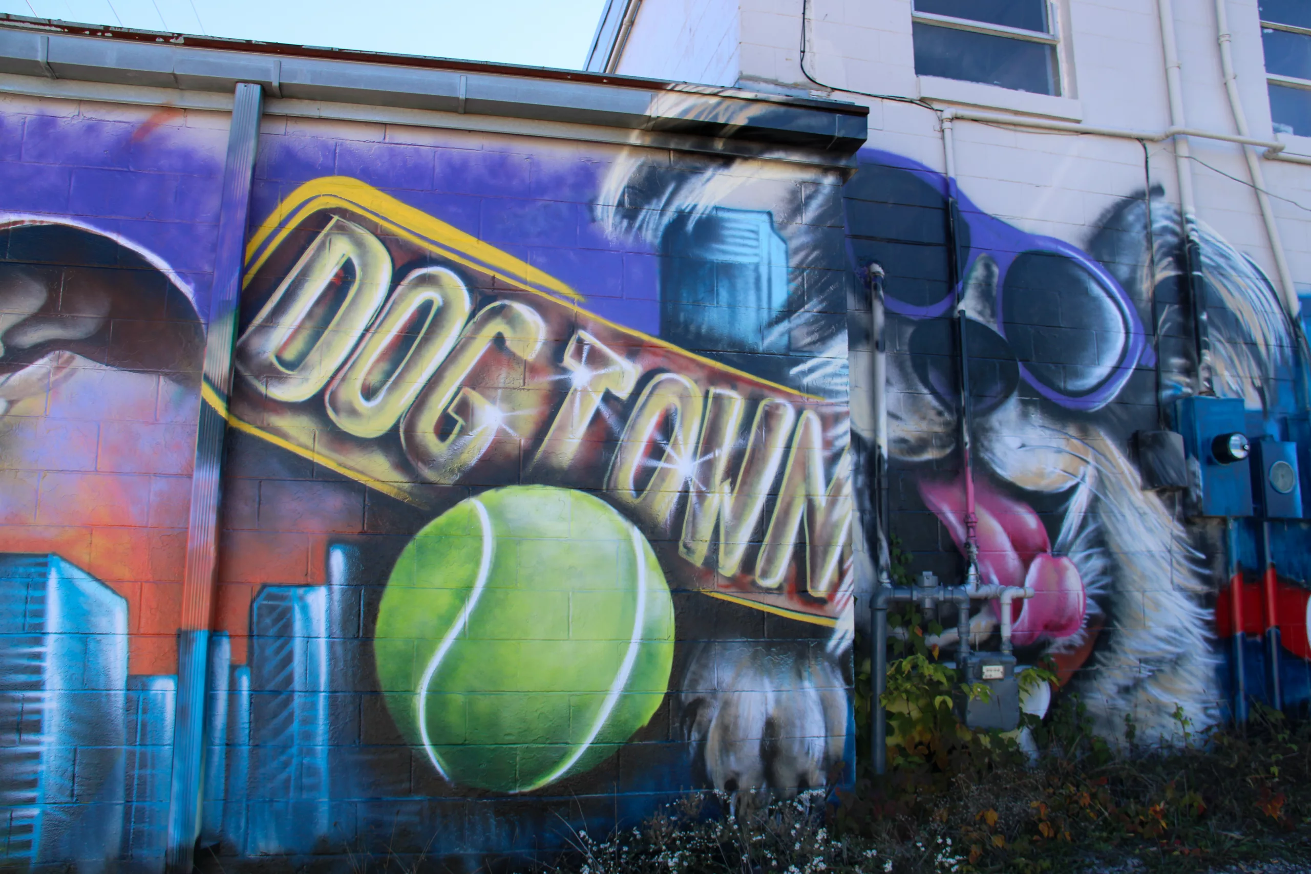 When Past and Present Collide: The Story Behind DogTown Lexington's Abrupt Closure