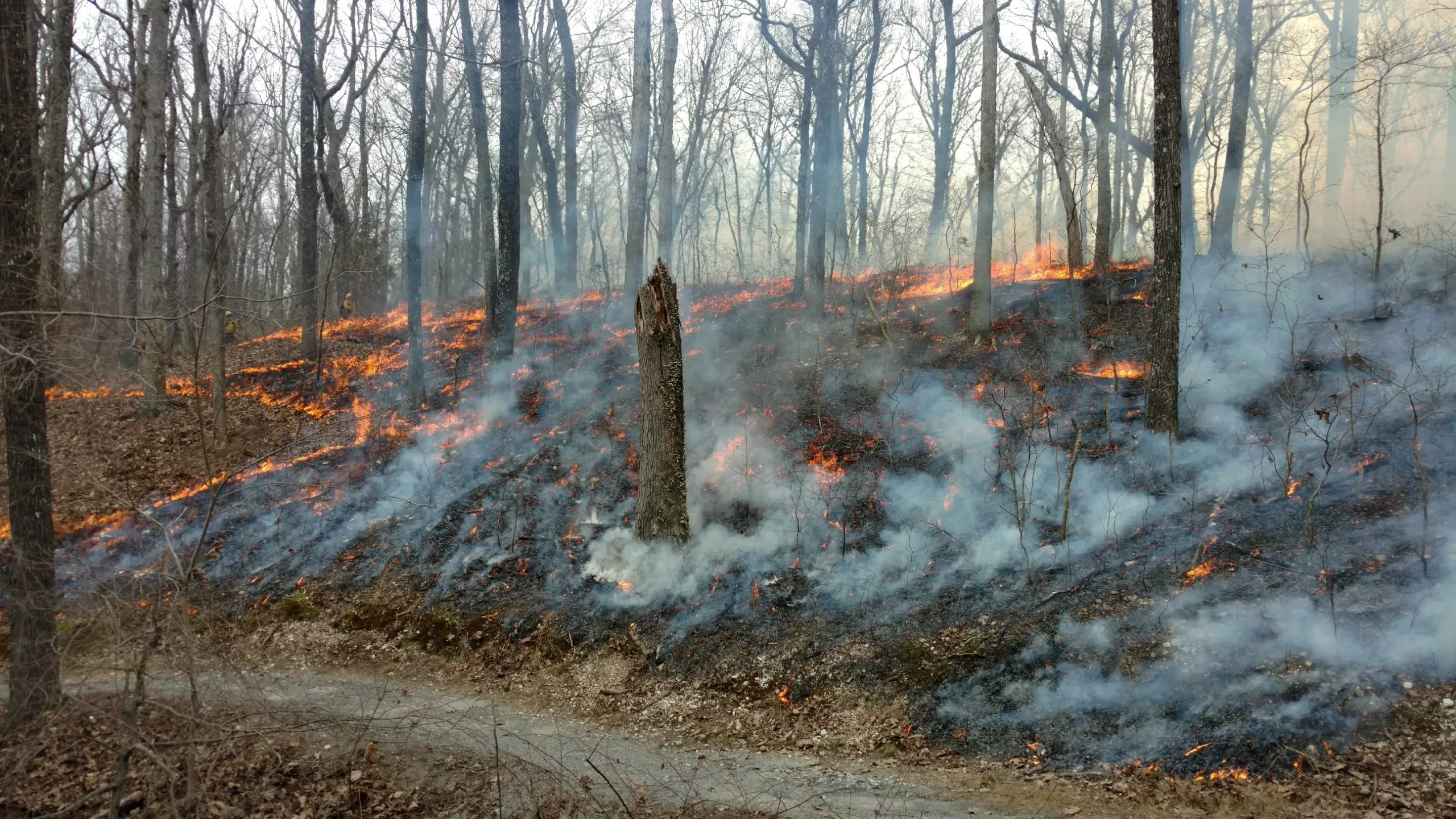 Beshear declares state of emergency to help combat Eastern Kentucky wildfires