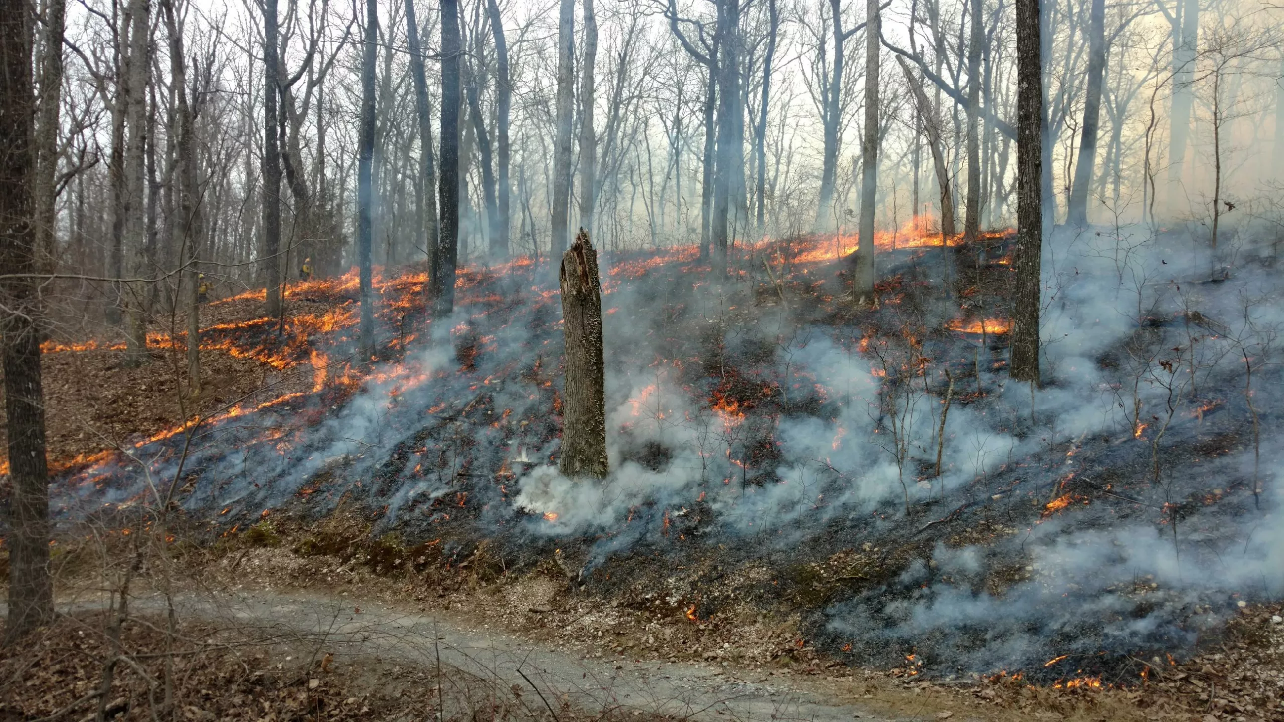 Beshear declares state of emergency to help combat Eastern Kentucky