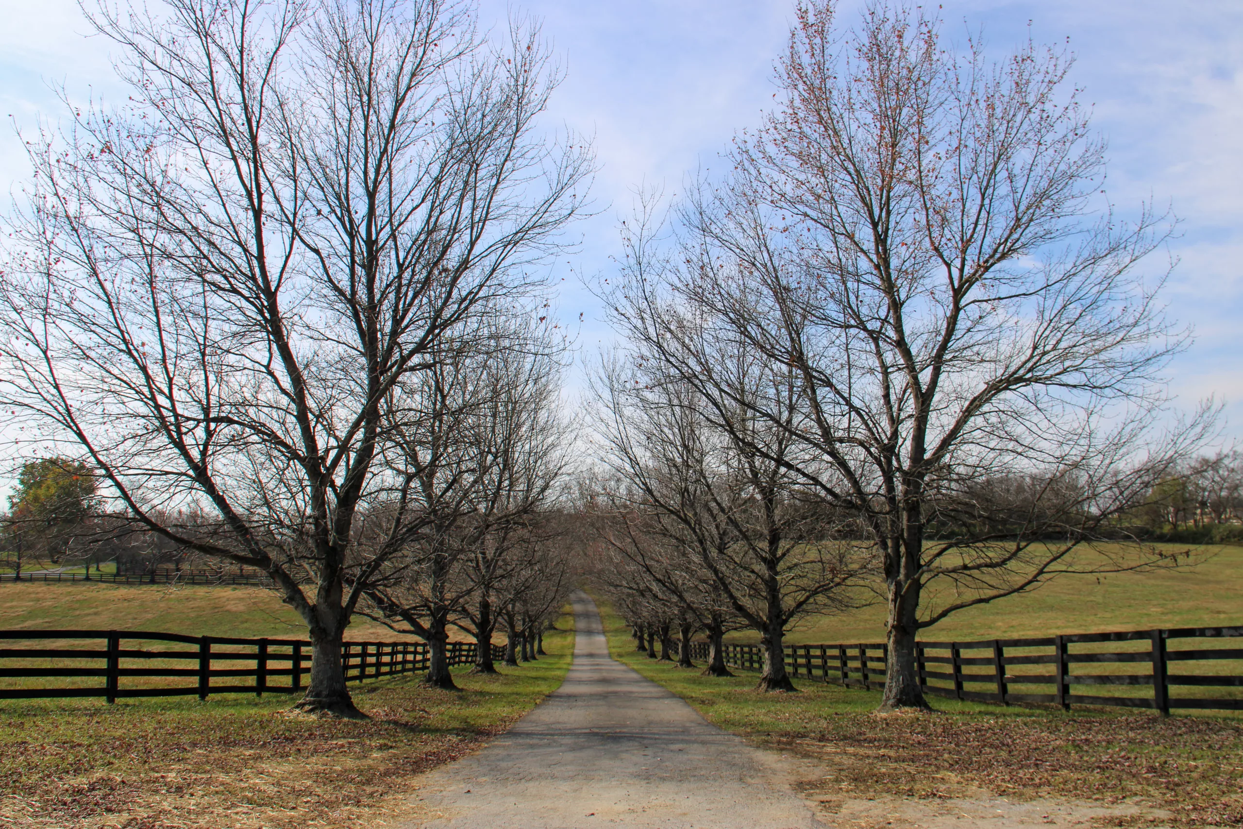 New gated subdivision planned at horse farm near intersection of Tates Creek and Brannon Roads