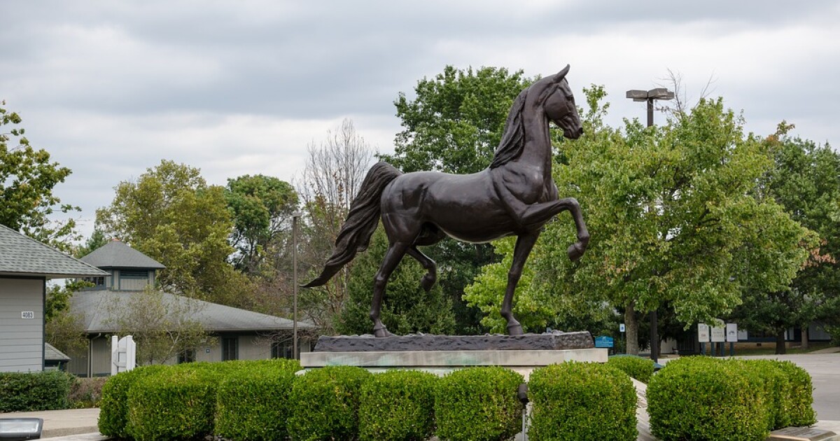 State funding for Kentucky Horse Park covers competition and casual observer interests