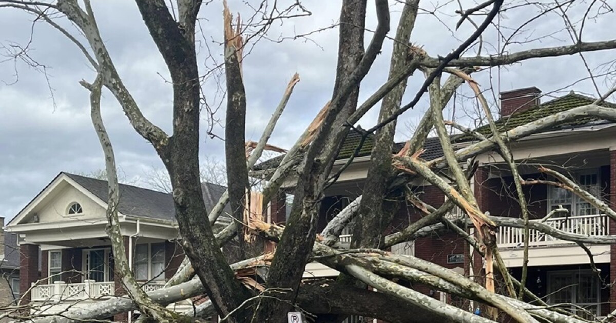 Lexington’s Ashland area hit hard by Tuesday morning storm