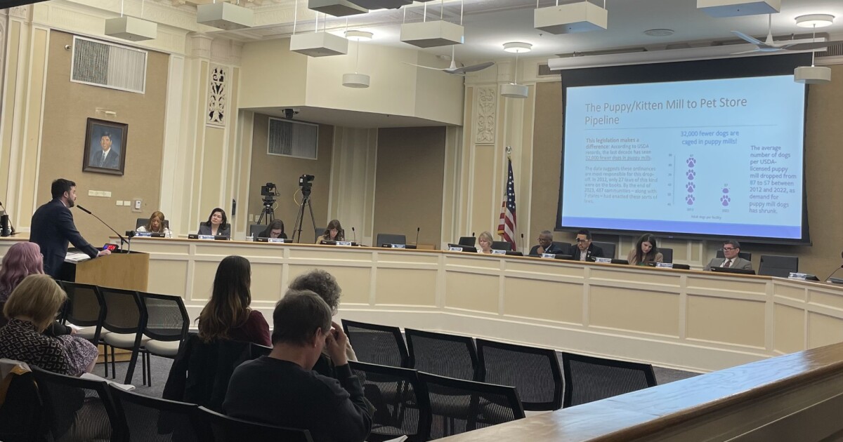 Lexington council members get briefed on humane pet sales ordinance proposal