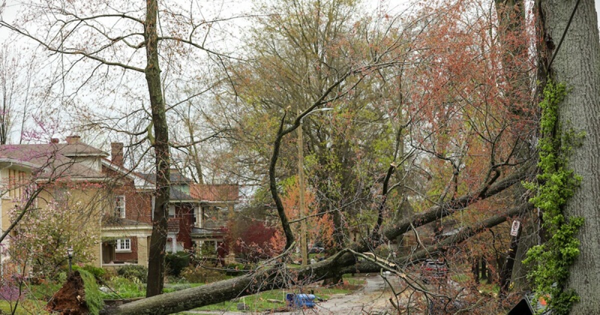 Lexington accepting storm debris from residents