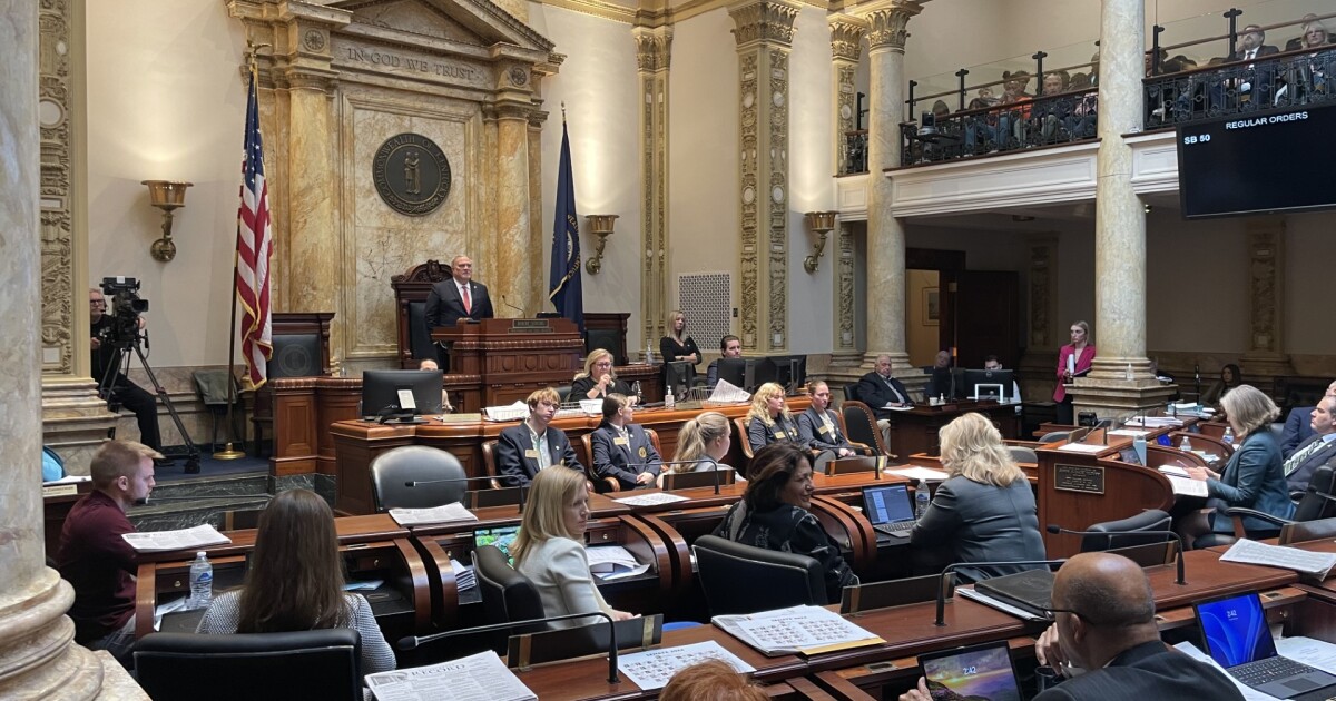 Safer Kentucky Act gets another vocal hearing in the Kentucky Senate.