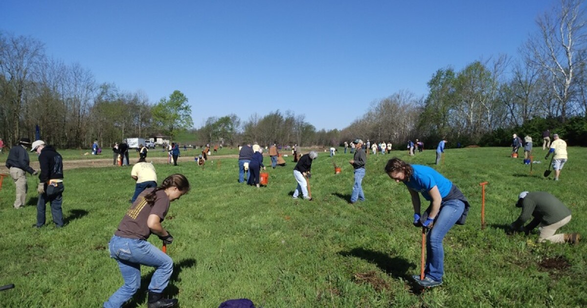 Lexington-based nonprofit has ambitious tree-planting goals, in Kentucky and around the world