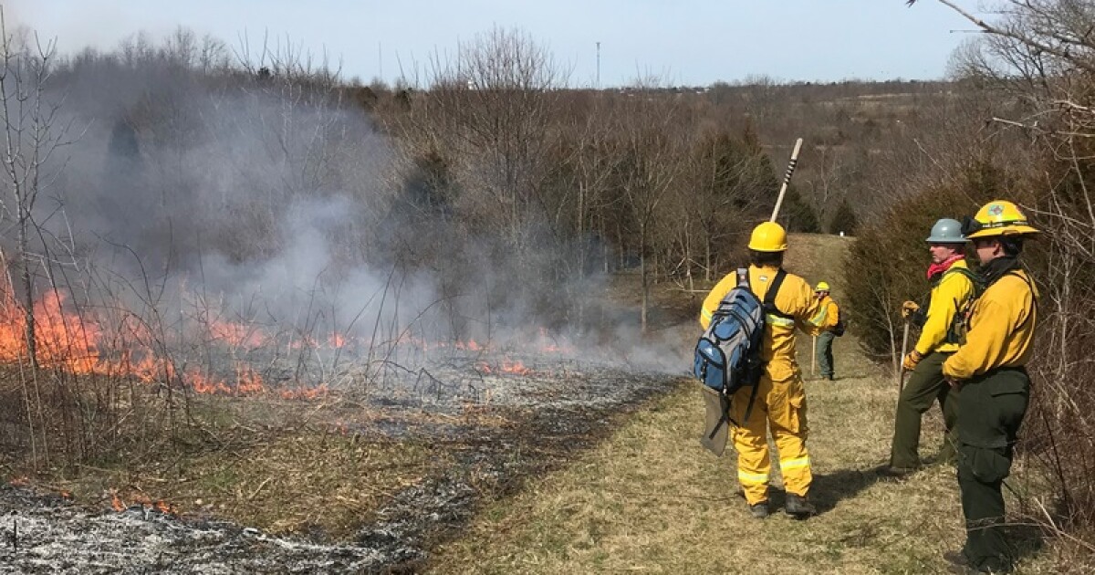 Kentucky Fish & Wildlife, Prescribed Fire Council offering classes on controlled burns