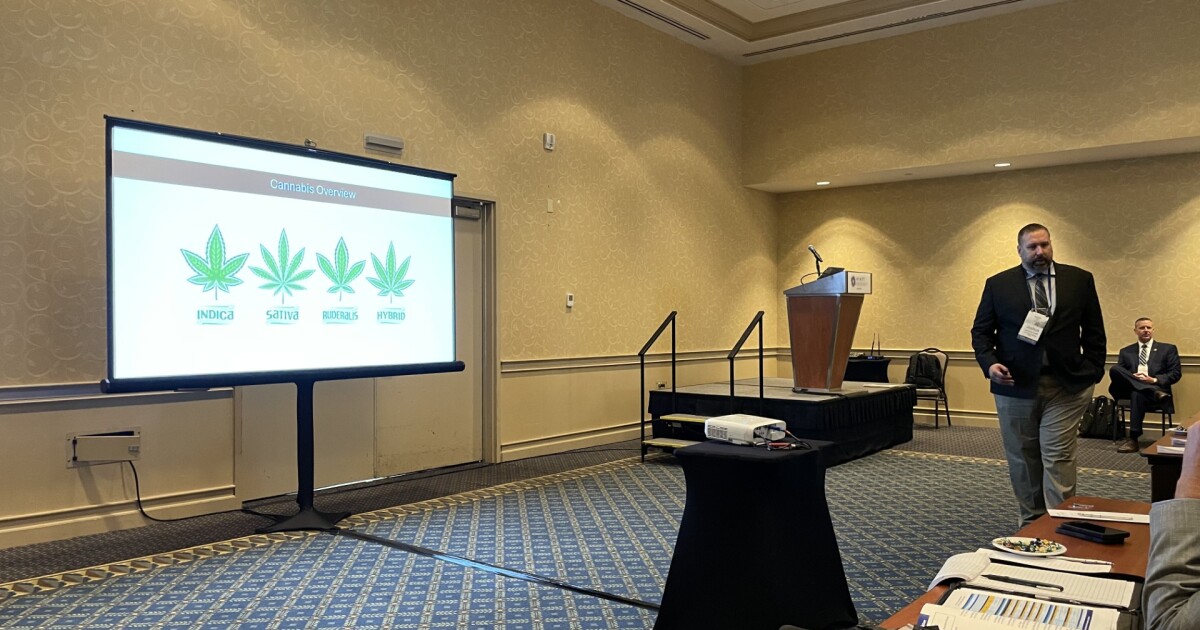 Cannabis 101 course held during first Kentucky Safety Summit