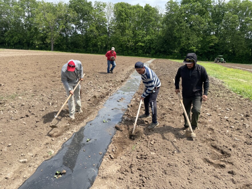 Far from home: The migrant worker experience on a central Kentucky farm