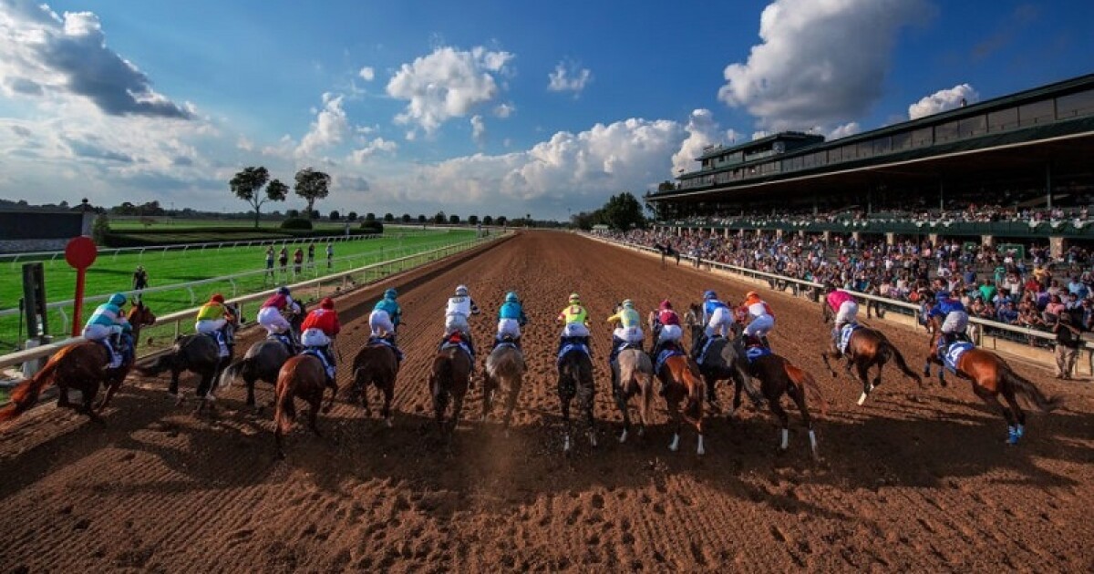 Five horses sold at annual Keeneland yearling auction to compete at Belmont Stakes