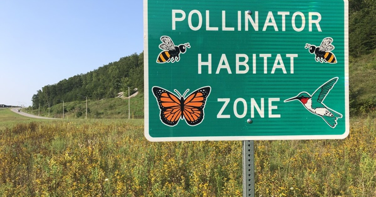 Kentucky Transportation Cabinet marking nine years of creating roadside pollinator habitats