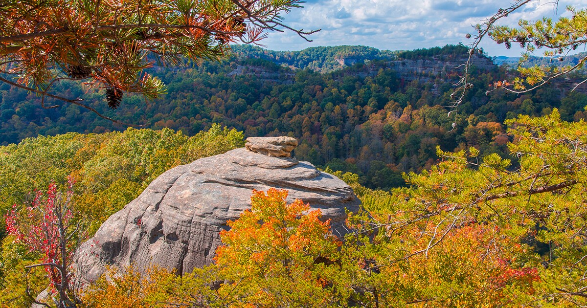 Daniel Boone National Forest may introduce fees for trail use, increased camping prices