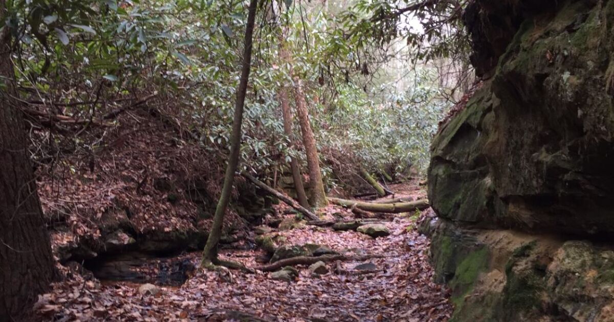 The fall colors found in Kentucky's Red River Gorge include some green for area communities