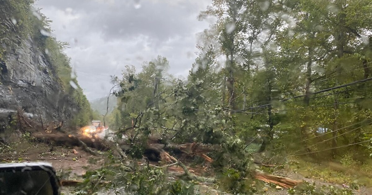 High winds topple trees, but dry ground helps eastern, southeastern Kentucky absorb heavy rain