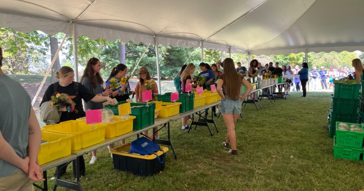 University of Kentucky farmers’ market works to produce sustainable produce to students