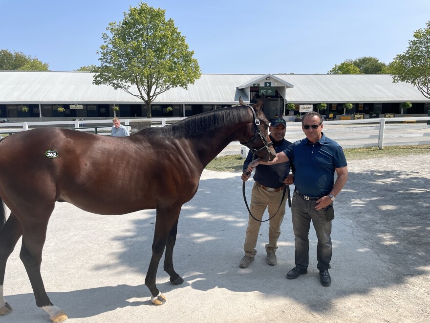 The 81st Keeneland Yearling Sale through the eyes of veteran and promising buyers and sellers