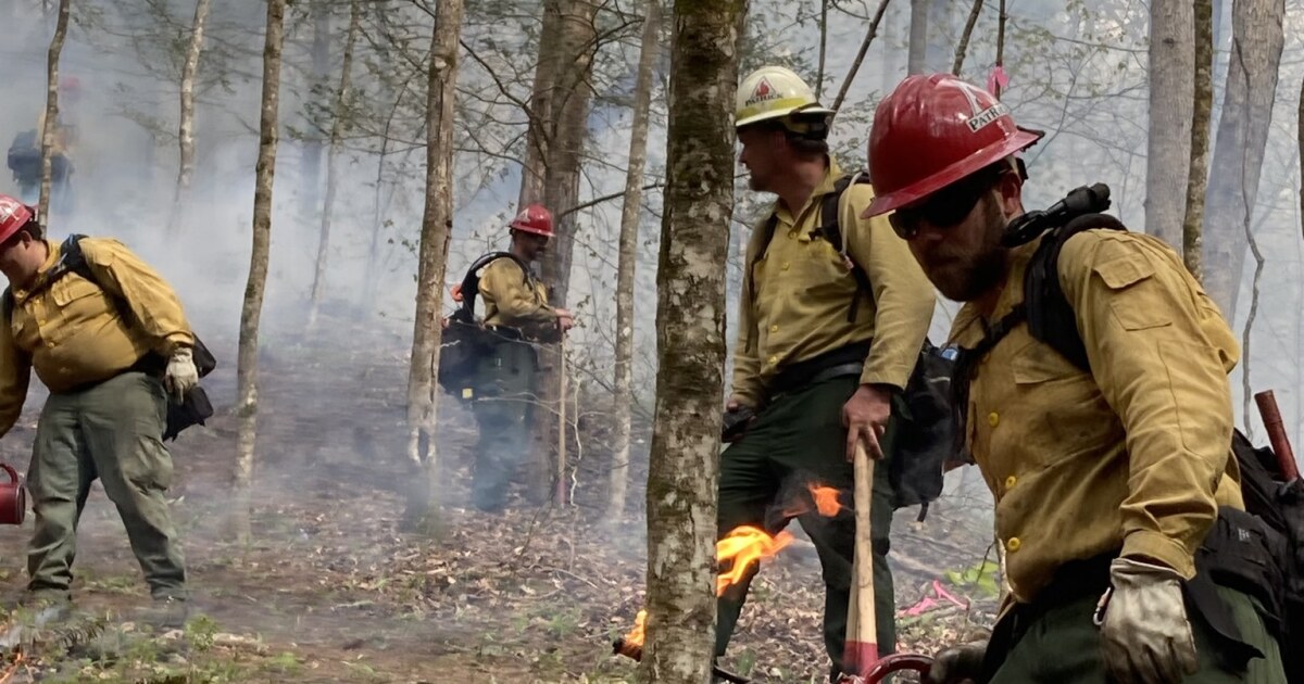 Hurricane Helene remnants may not be enough to curb wildfires in Kentucky