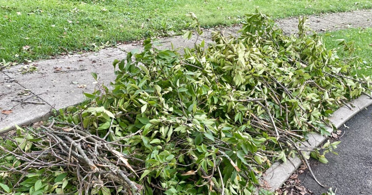 City of Lexington accepting free storm debris drop-offs