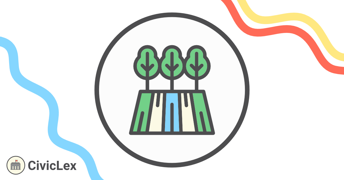 More details on the first year of the Capital Fund