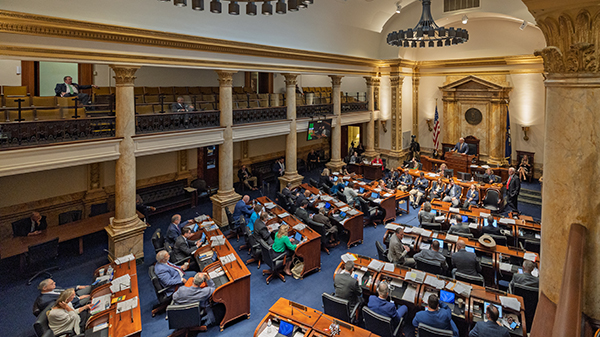 This Week at the State Capitol