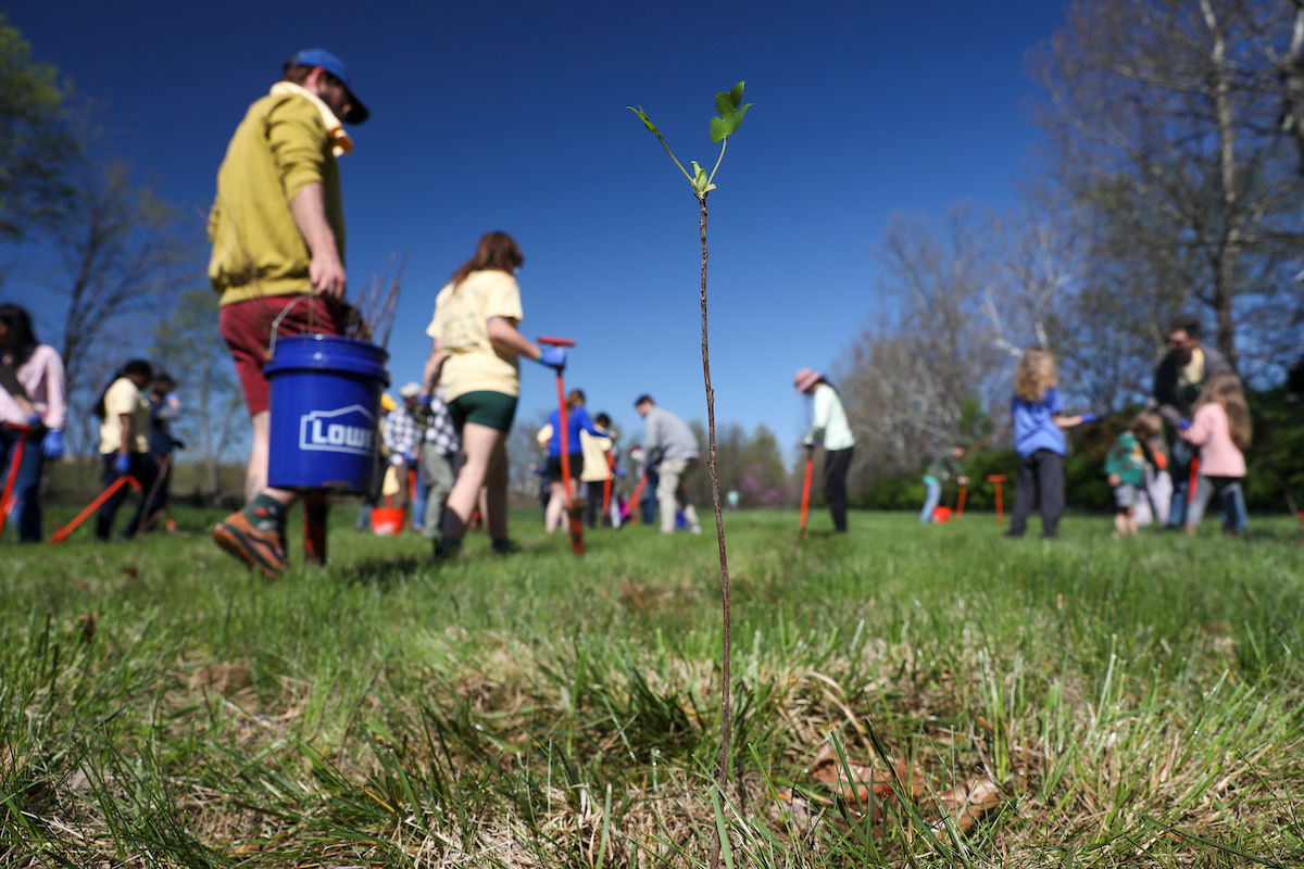 Reforest the Bluegrass returns to Jacobson Park