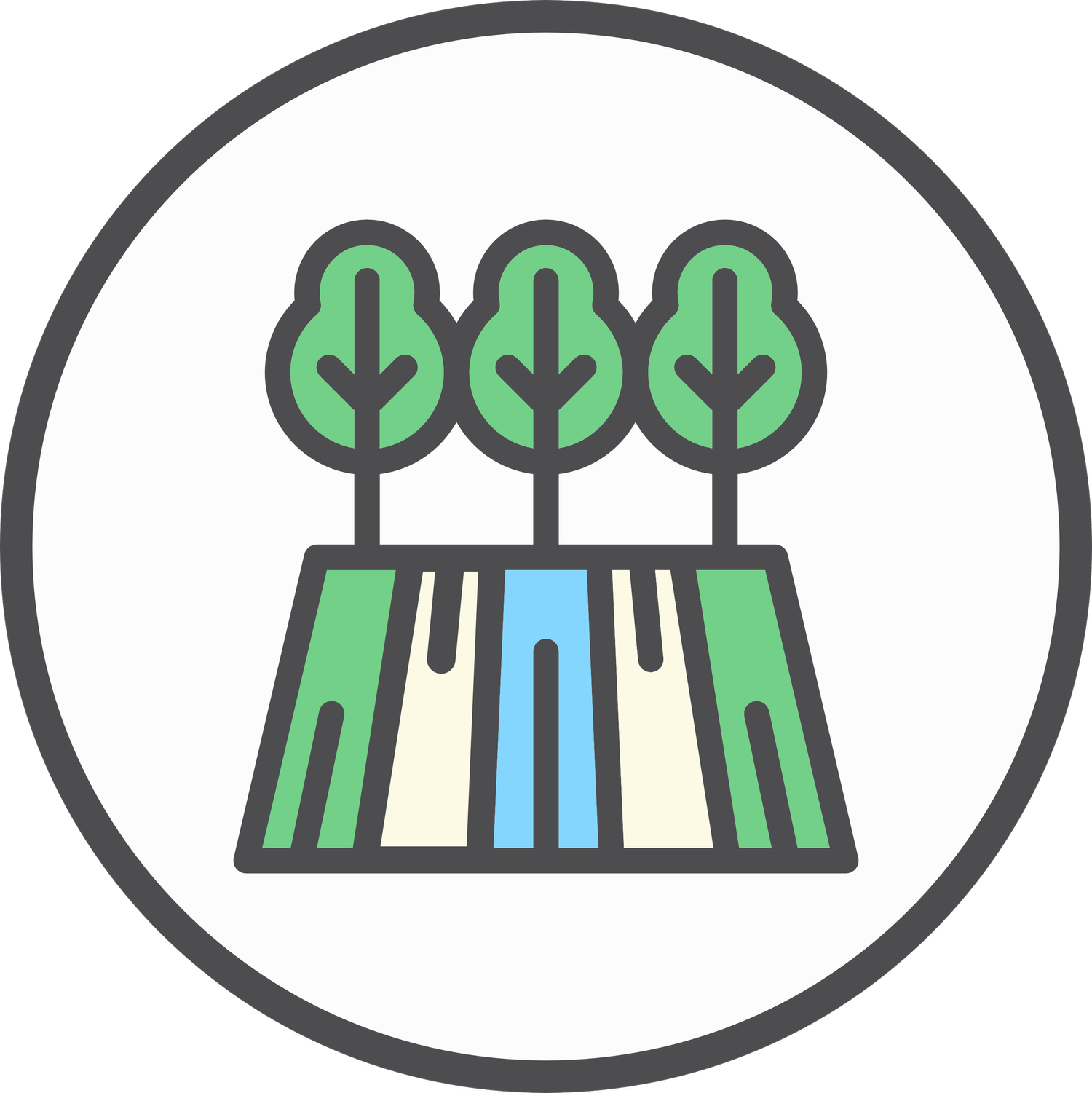 An update on the Lex Grow Trees program