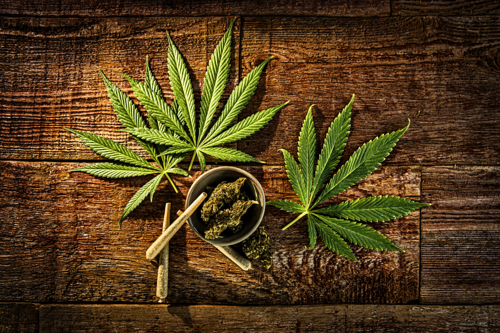 Auditor announces investigation of how Kentucky awarded medical cannabis licenses