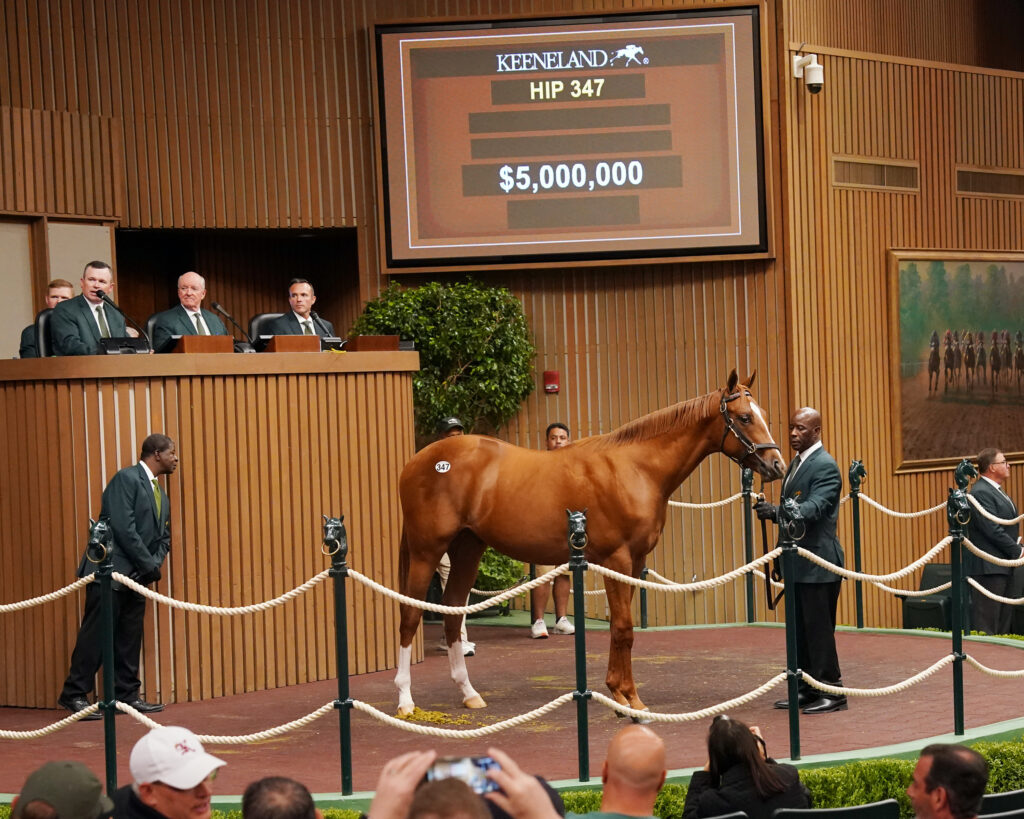 Study in contrasts: Racing, breeding shine in Kentucky as sport dims across America