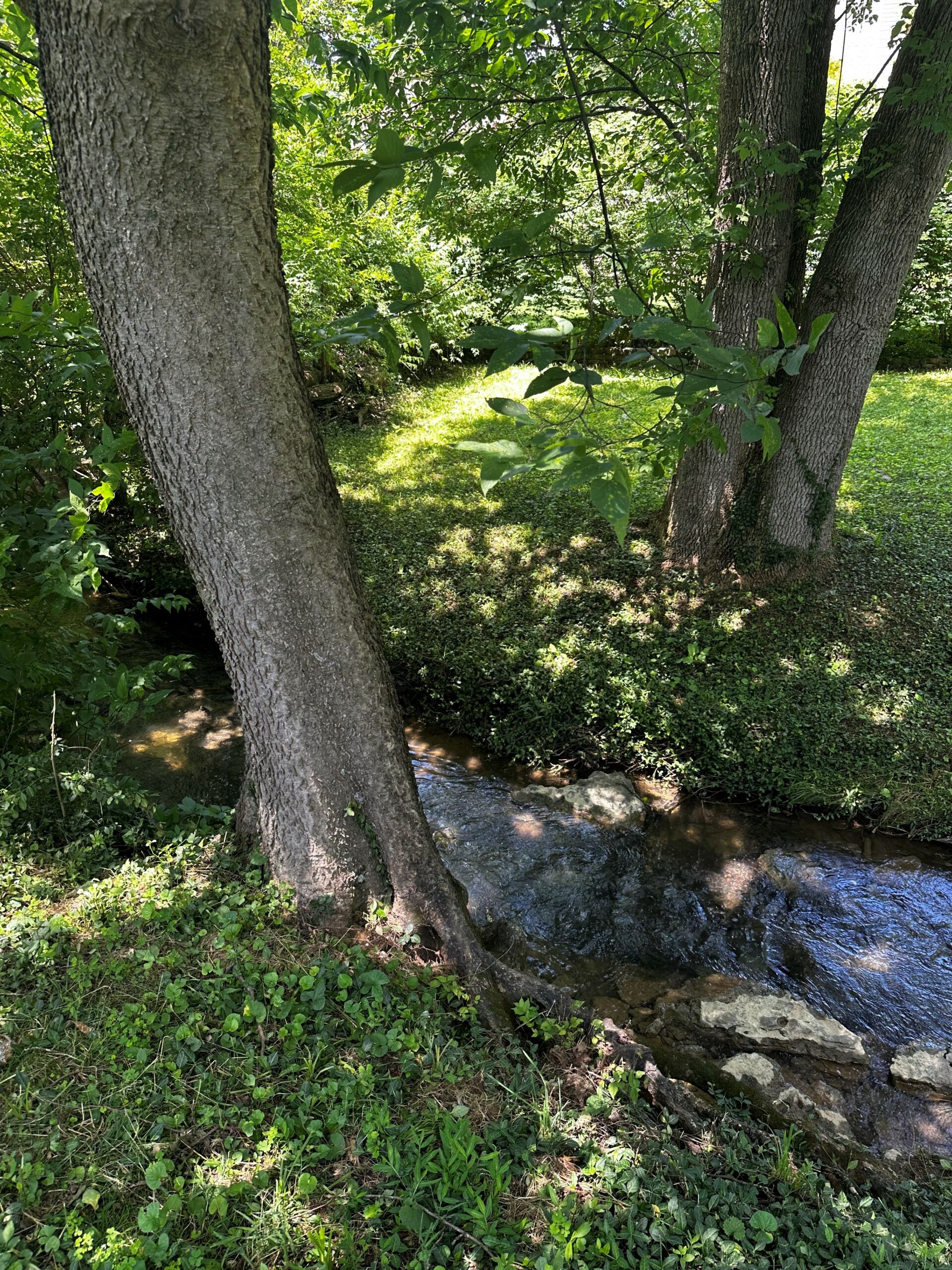 Accepting applications for FY26 Stormwater Quality Projects Incentive Grant Program