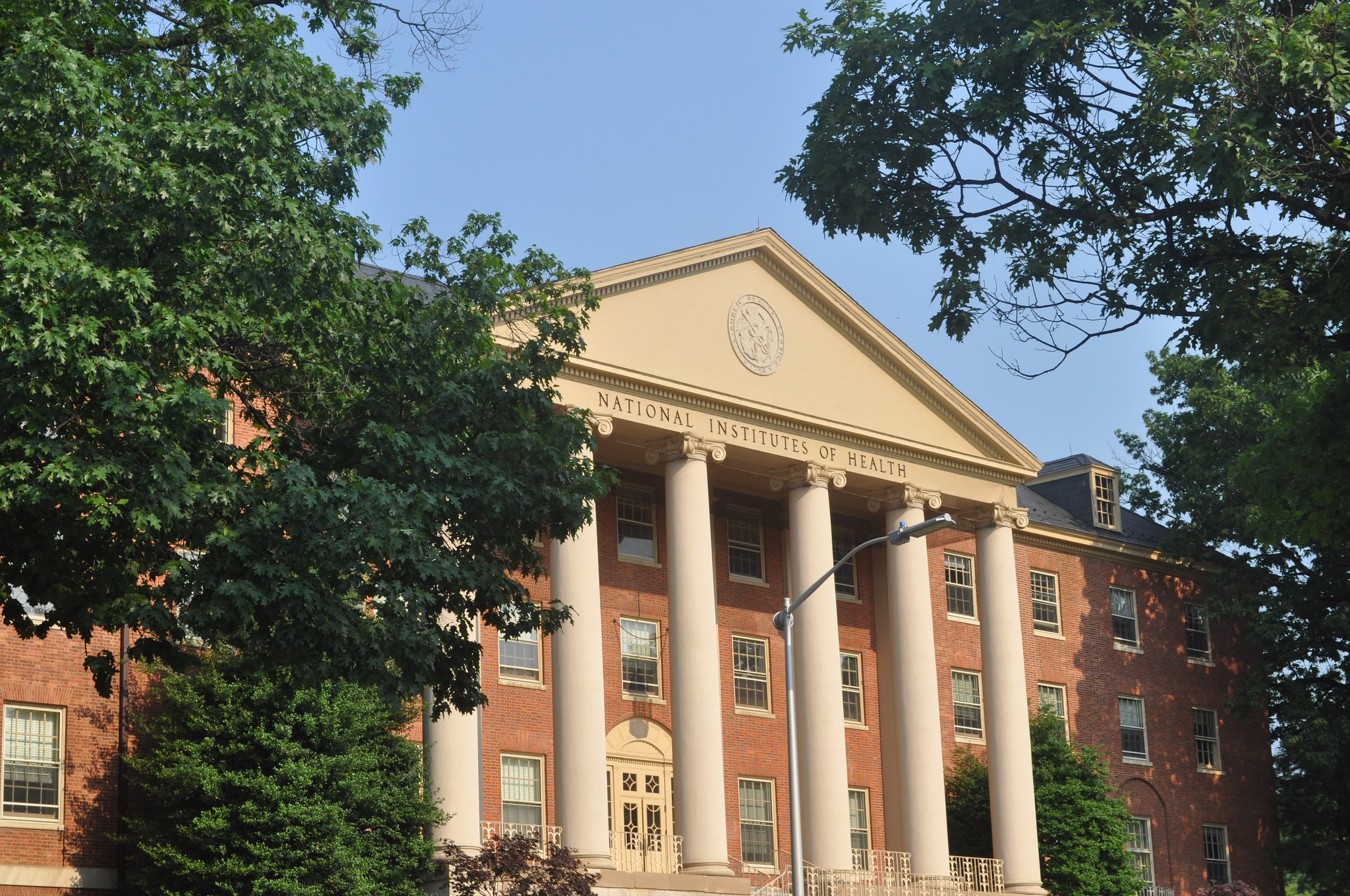 Democratic AGs sue National Institutes of Health over disrupted medical research grants