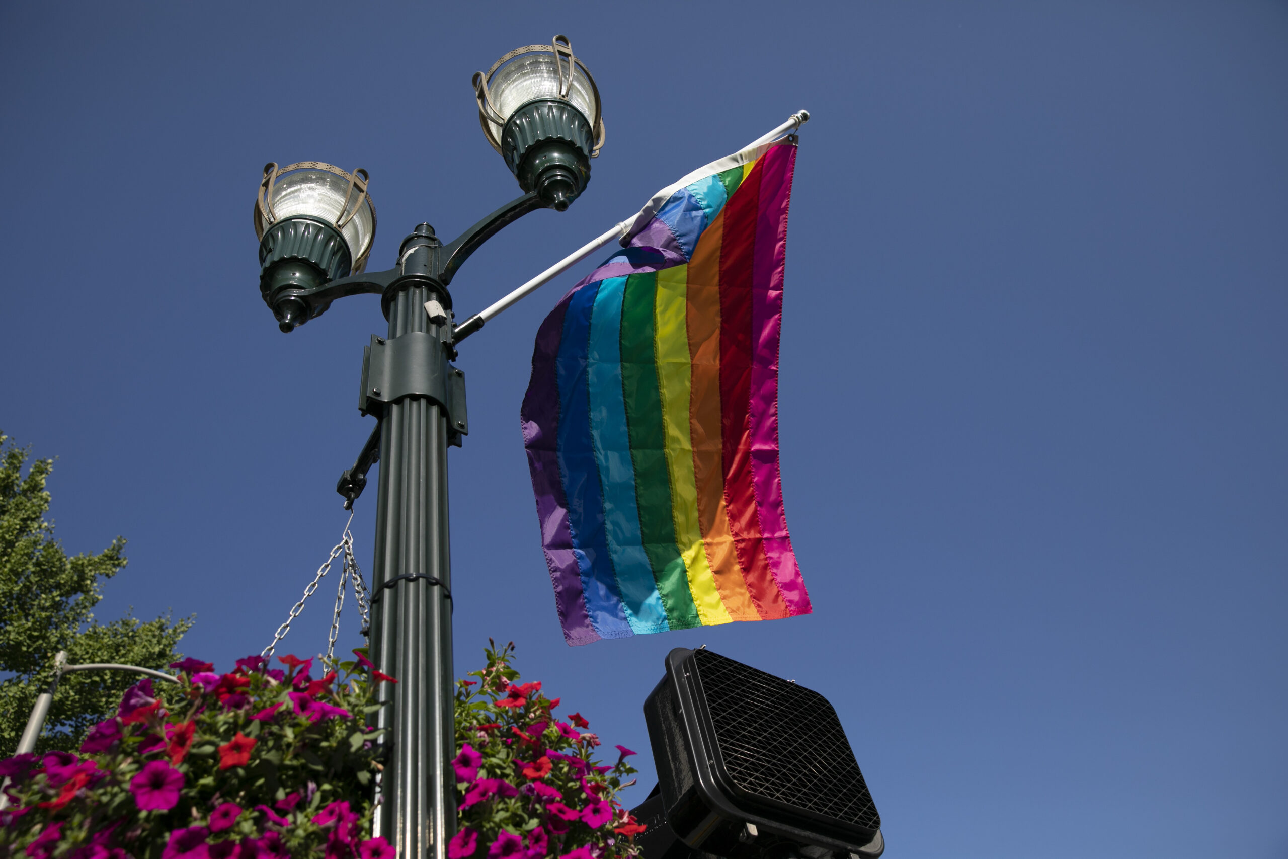 250Lex, Faulkner Morgan Archive celebrate LGBTQ history