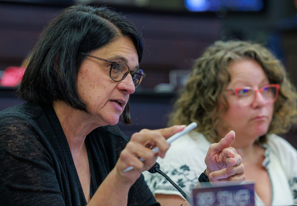 Interim education committee receives assessment, accountability update