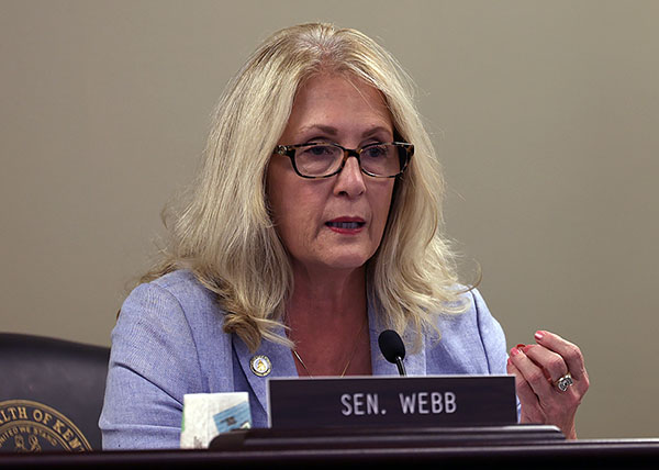 Task force discusses disaster relief funding needs