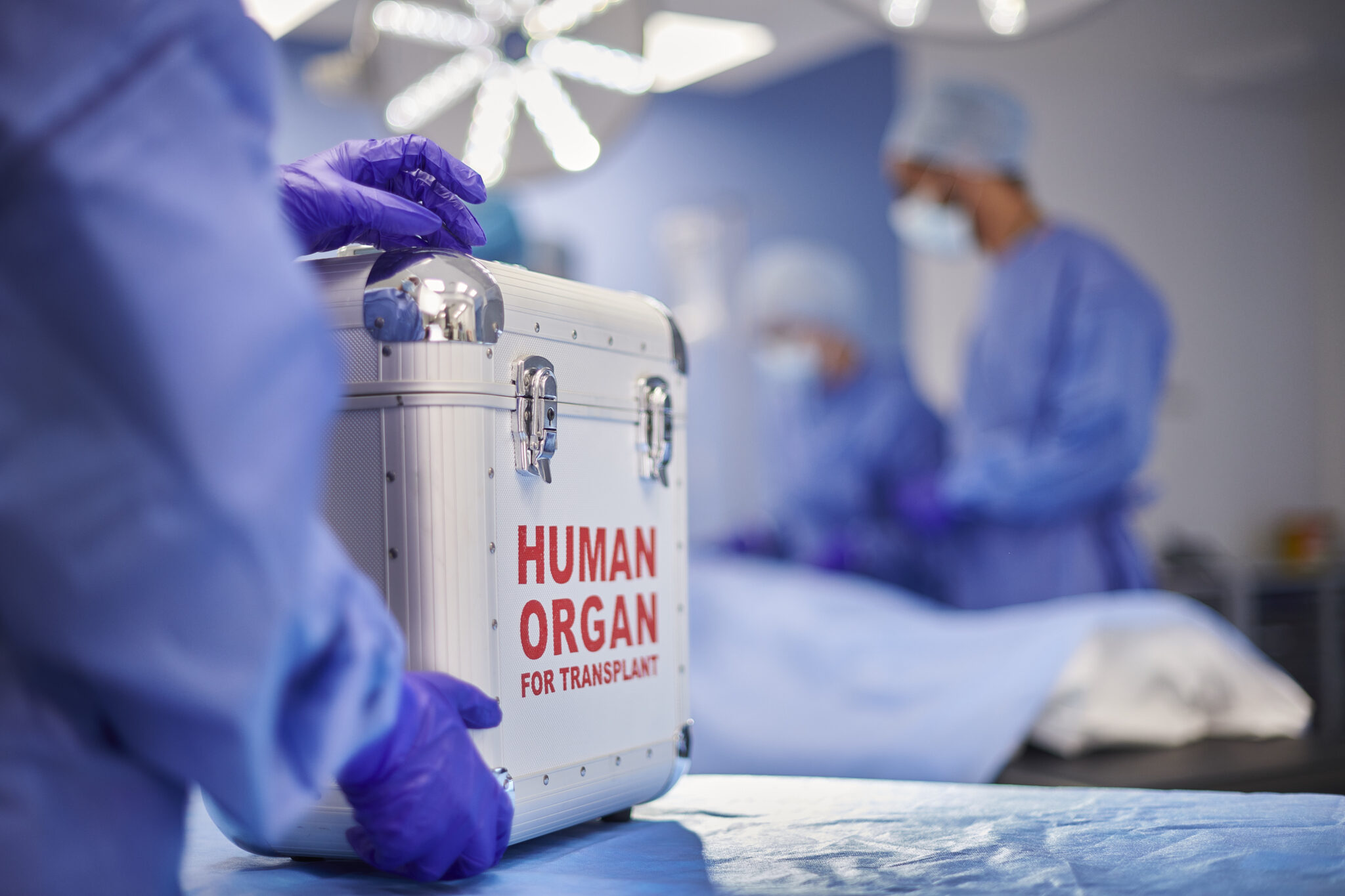 Organ donation groups seek to reassure US House panel after scathing report