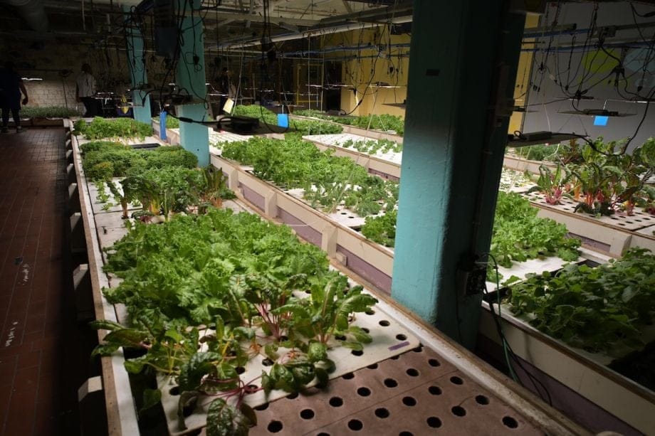 What Kentucky&rsquo;s nonprofit food markets learn from their communities and each other