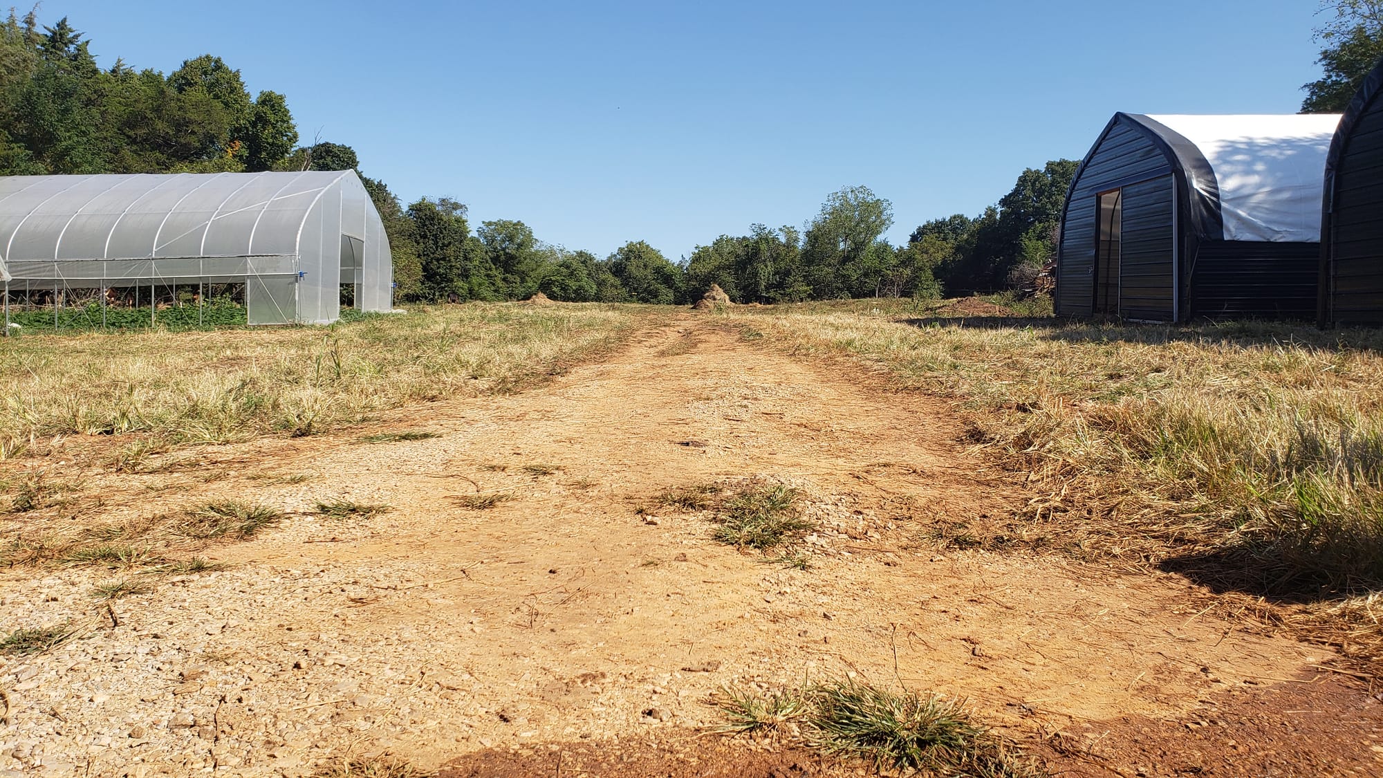 What it takes to keep Kentucky's Black-led farms alive