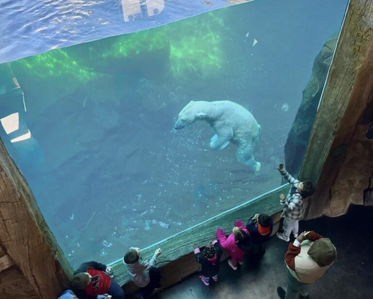 People:** High-angle view from