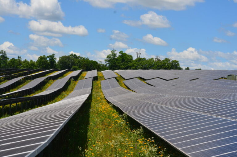 An expansive array of solar panels installed in