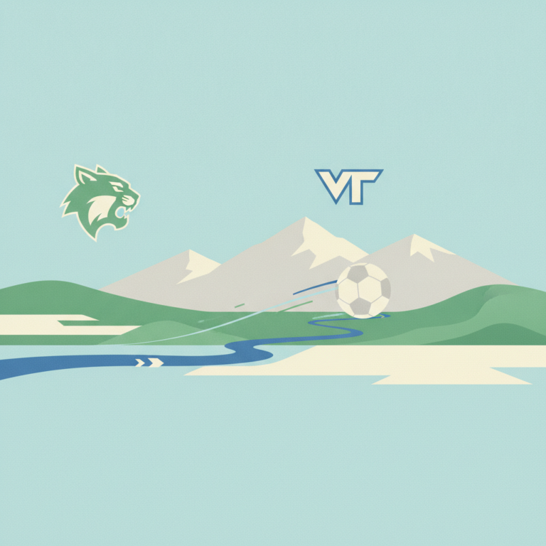 An illustrated graphic